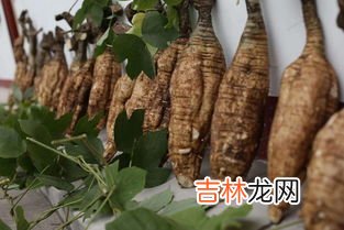 藏百草葛根胶囊可靠吗,葛根胶囊的作用与功效