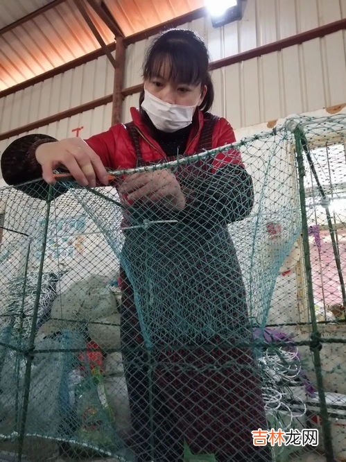 务农是职业吗,务农的职业是什么