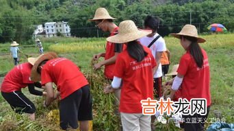 务农是职业吗,务农的职业是什么