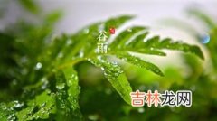 关于谷雨的物候特征,谷雨的物候变化 特征特点