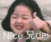 nice兄dei啥意思,nice 兄dei什么意思