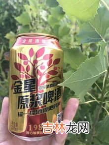 原浆啤酒入口发酸是怎么回事,葡萄酒发酸是怎么回事?