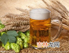 原浆啤酒入口发酸是怎么回事,葡萄酒发酸是怎么回事?