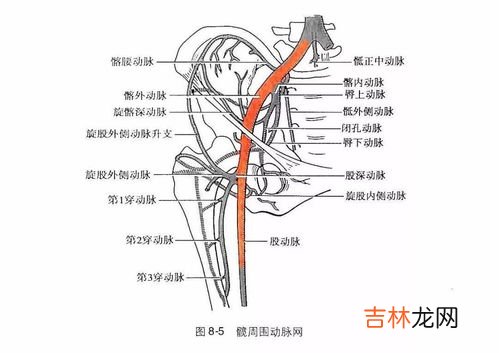 创刻的动脉剧情攻略,谁玩过创刻的动脉，被虐的好惨，求大神帮忙