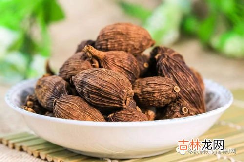 草果图片,各种香料的名字和图片？