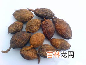 草果图片,各种香料的名字和图片？