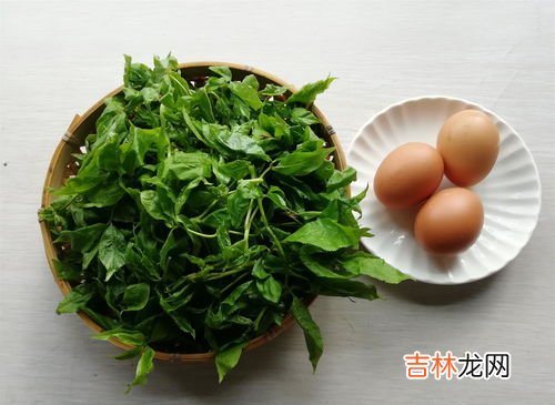 刺五加怎么吃,农村叫做“刺五加”的野菜怎么吃？