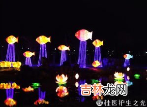 去年元夜时花市灯如昼是什么节日,去年元夜时，花市灯如昼，指什么节日