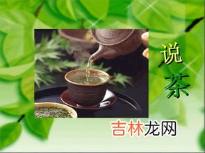 靡秀酵素怎么样,靡秀综合果蔬酵素怎么样?吃了会不会有副作用?