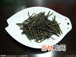 苦丁茶的正确泡法,苦丁茶做法
