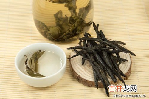 苦丁茶的正确泡法,苦丁茶做法