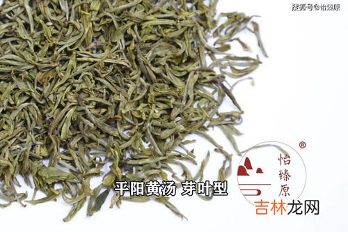 苦丁茶的正确泡法,苦丁茶做法