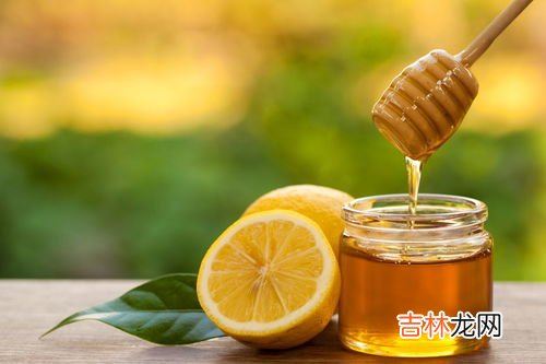 苦丁茶的正确泡法,苦丁茶做法