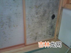 墙壁发霉怎么处理,墙壁发霉怎么处理
