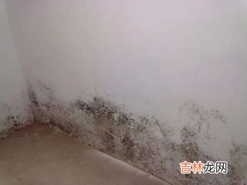墙壁发霉怎么处理,墙壁发霉怎么处理