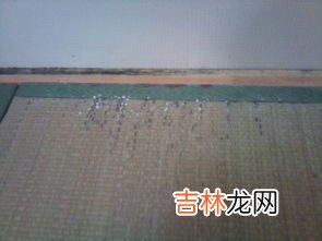 墙壁发霉怎么处理,墙壁发霉怎么处理