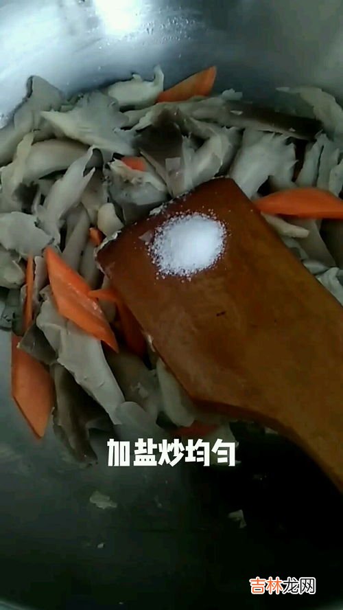 炒凤尾蘑怎么做,凤尾菇怎么做好吃