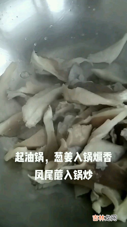 炒凤尾蘑怎么做,凤尾菇怎么做好吃