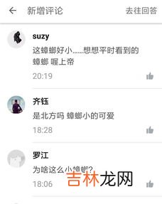 蟑螂怕光吗,蟑螂怕光吗?