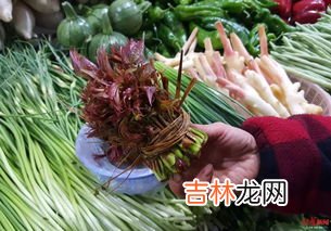 椿芽什么时候发芽,香椿芽的发芽时间