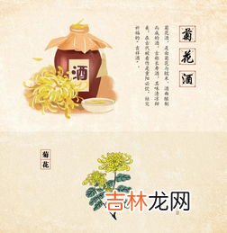 饮菊花酒佩戴茱萸是什么节的风俗,重阳节传统节日风俗