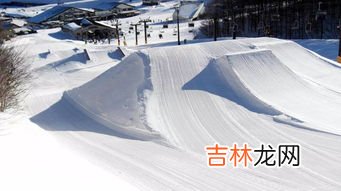 滑雪的创意名称,高分求一滑雪俱乐部名字