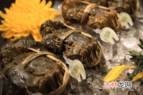 大闸蟹怎么保存才不死,大闸蟹怎么保存才不死?