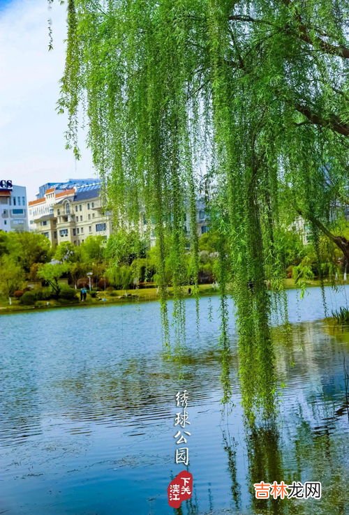 春风北户千茎竹晚日东园一树花的意思,春风白居易这首诗的含义