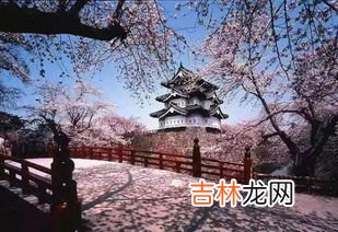 春风北户千茎竹晚日东园一树花的意思,春风白居易这首诗的含义