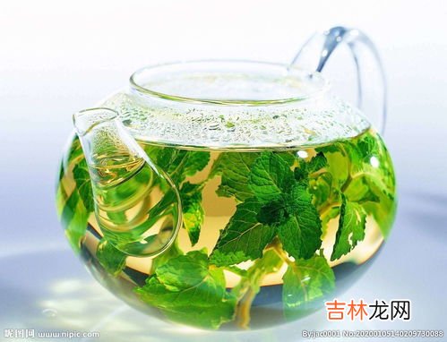 绿茶胶囊的功效,请问有人用过绿茶软胶囊吗？？效果好怎样？吃多了会有副作用吗