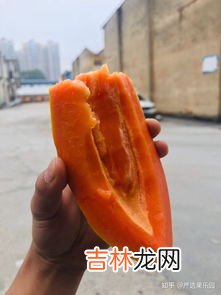 来大姨妈可以吃维生素e胶囊吗,经期吃什么维生素好