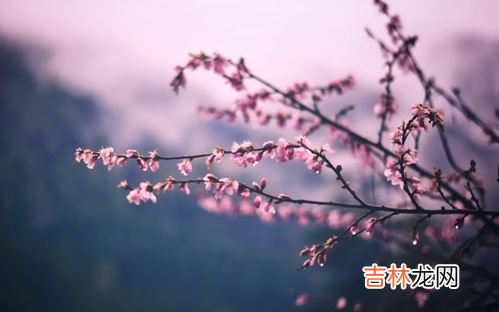 独当一面还是独挡一面,独挡一面啥意思