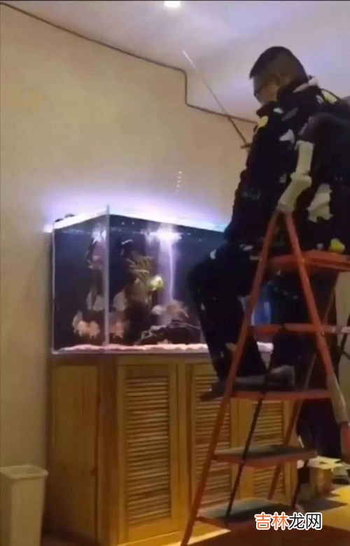 窜门和串门的区别,窜门和串门的区别