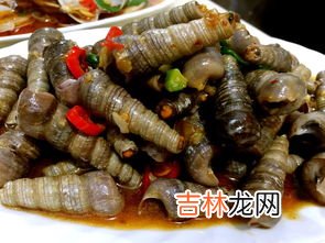 锥螺和钉螺的区别钉螺长什么样 锥螺和钉螺的区别,锥螺和钉螺的区别