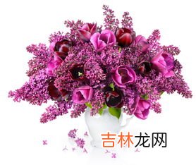 钓鱼为什么禁止用丁香,丁香油钓鱼有用吗 钓上来的鱼可以吃吗 不清楚丁香油的功效 对人身体有害吗