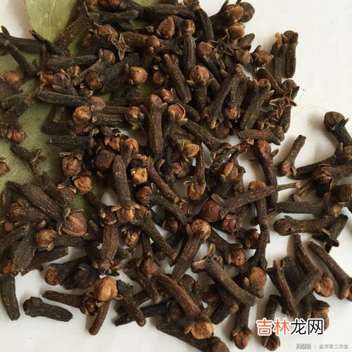 钓鱼为什么禁止用丁香,丁香油钓鱼有用吗 钓上来的鱼可以吃吗 不清楚丁香油的功效 对人身体有害吗