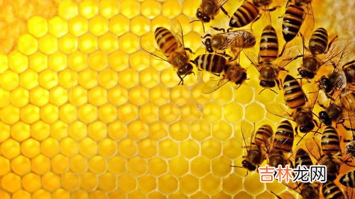 ponlee蜂胶有什么效果,蜂胶有什么功效