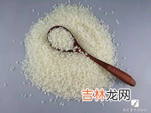 大米里白色的虫子是蛆吗,大米里白色的虫子是蛆吗大米里白色的虫子是不是蛆