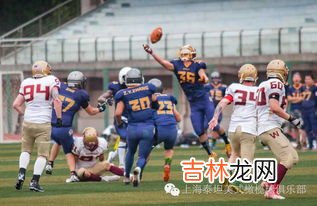 橄榄球允许打架吗,橄榄球和打架有什么区别?