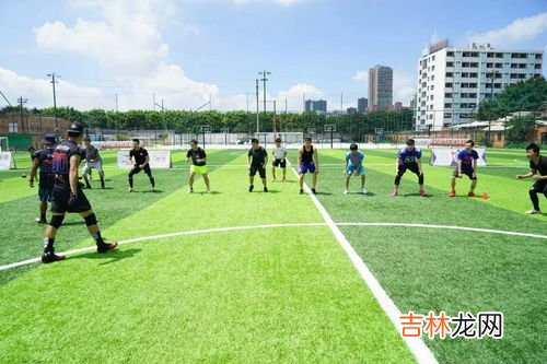 橄榄球允许打架吗,橄榄球和打架有什么区别?