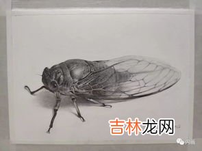 蝉的作者是谁,古诗<<蝉>>的作者