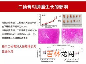 广育堂二仙膏好吗,龟鹿二仙膏可以日常保健服用吗?有什么禁忌吗?