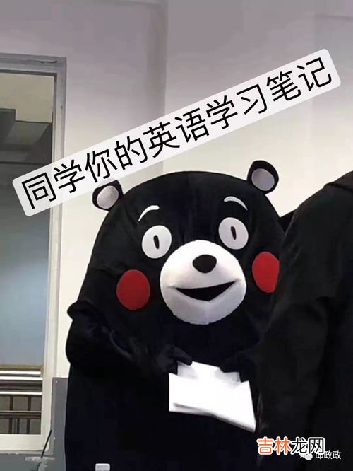day1是什么意思,day1是什么意思