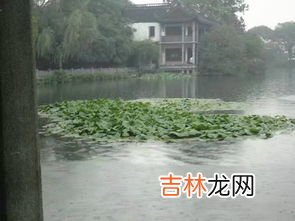 梅雨天气要不要开窗通风,梅雨季节可以开窗通风吗?