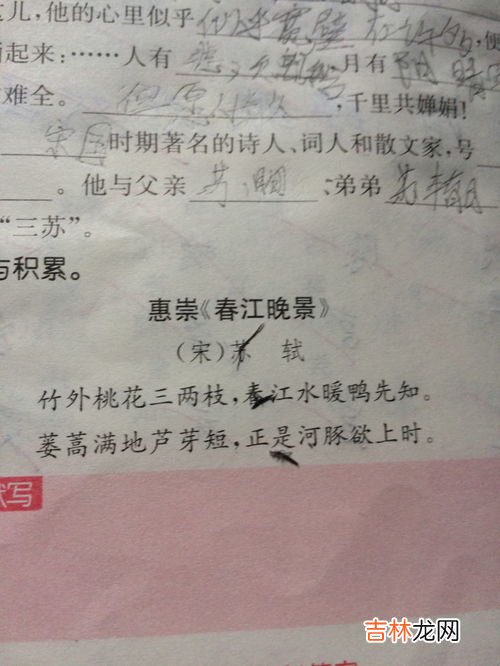 苏轼是哪个朝代的诗人,唐朝诗人苏轼是哪个朝代的 诗人苏轼是什么朝代的