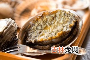 鲍鱼属于海鲜吗,鲍鱼是海鲜是发物吗