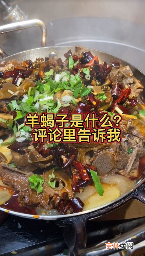 羊蝎子是啥,什么是羊蝎子