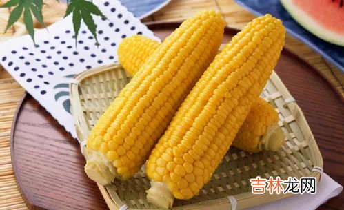玉米皮属于什么垃圾,玉米壳是什么垃圾
