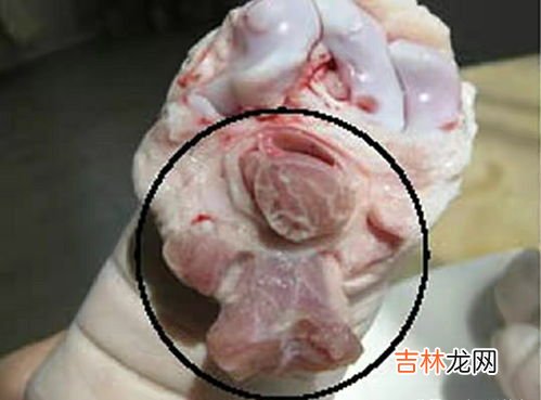 猪蹄子有骚味属于正常吗,猪肉炒出来很腥、骚怎么办？