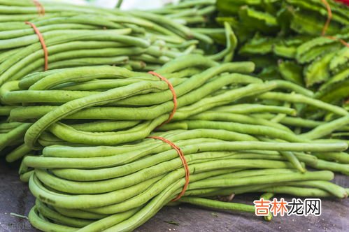 新鲜豆角怎么保存,刚摘的豆角怎么保存 豆角怎么保存时间长